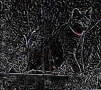 find edges filter